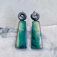 Opalized Wood Earrings with Octopus Tentacles